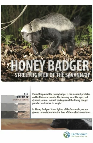 Дорама Жизнь одного медоеда онлайн